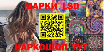 apvp Канаш