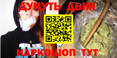 apvp Канаш