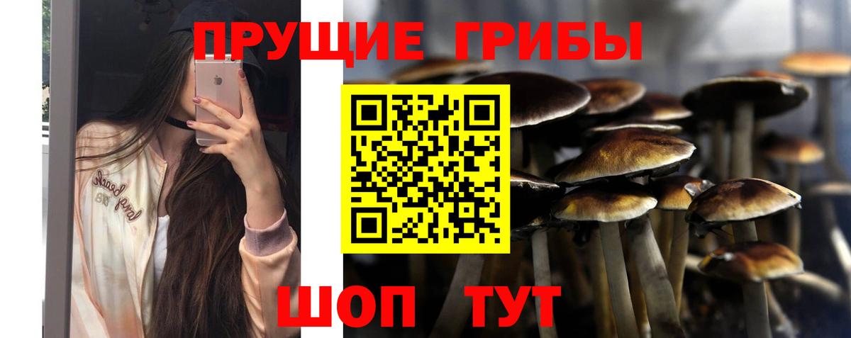 Краснознаменск  Псилоцибиновые грибы Magic Shrooms  Вход с VPN 